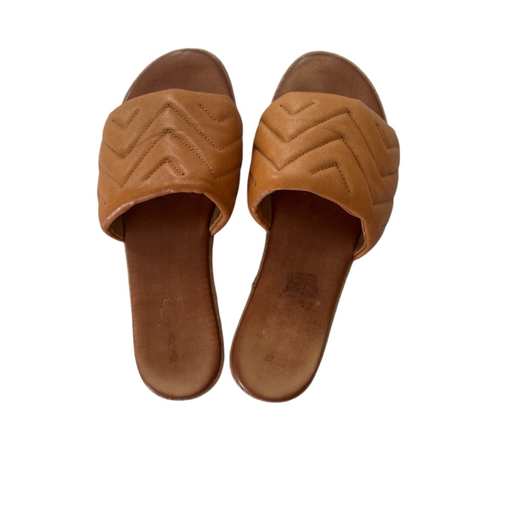 Coach and Four Brown Slide Sandals